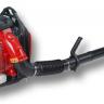 LEAF BLOWER, BACK PACK